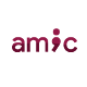 AMIC-Team